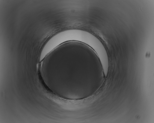 X0000094440027200711211506