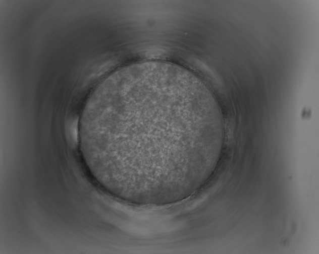 X0000094440028200711211506