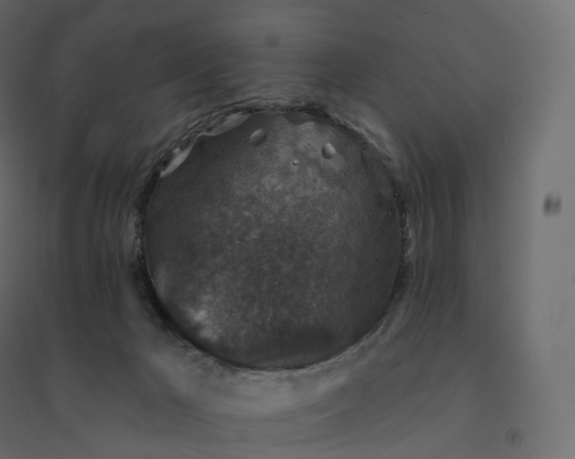 X0000094440029200711211506