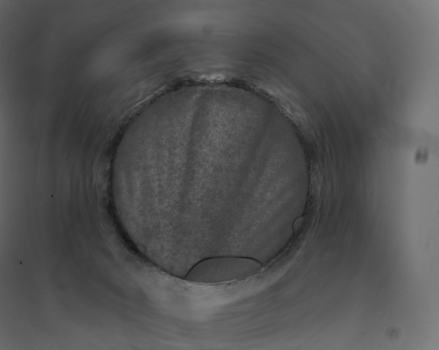 X0000094440030200711211506