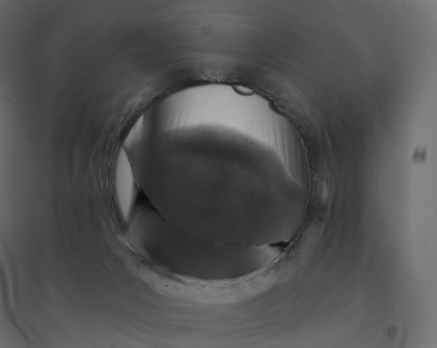 X0000094440031200711211506