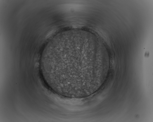 X0000094440032200711211506