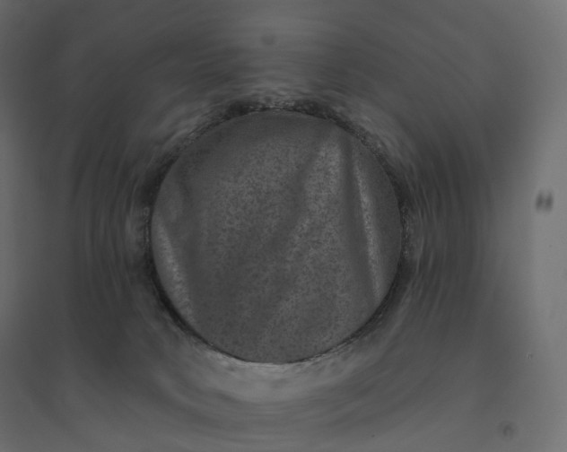 X0000094440034200711211506