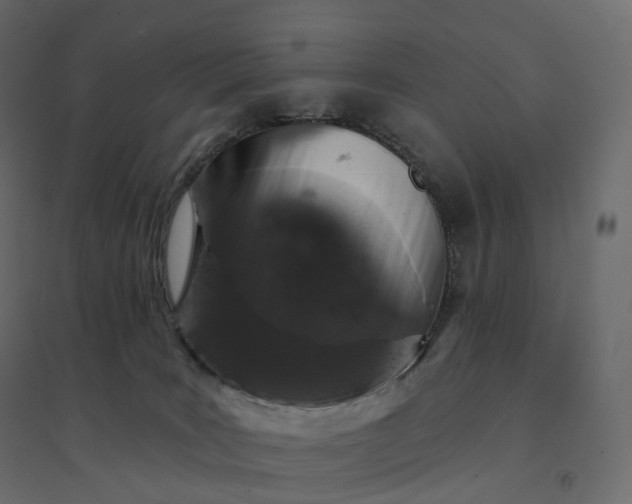 X0000094440035200711211506