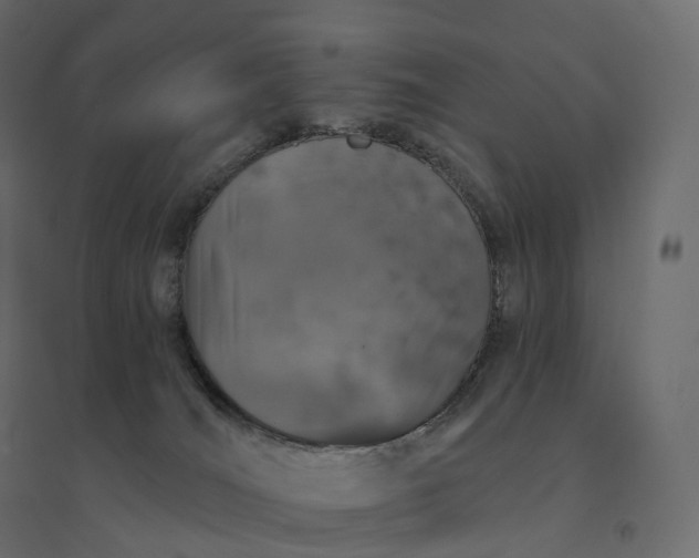 X0000094440036200711211506