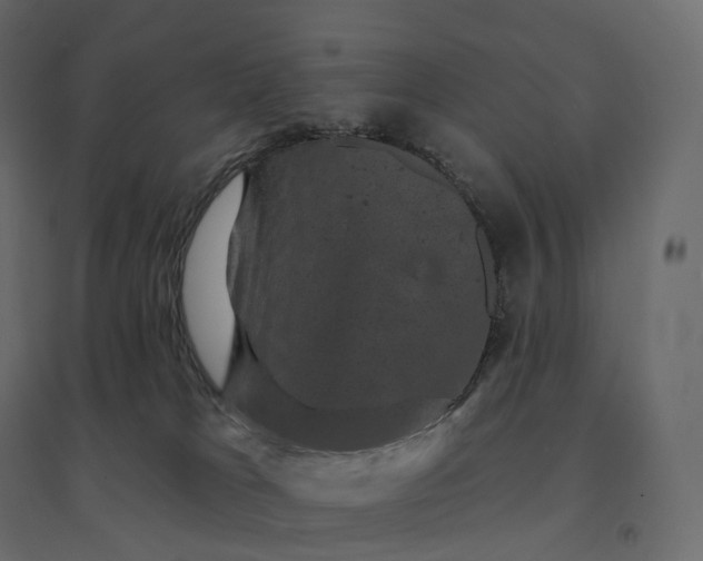 X0000094440037200711211506