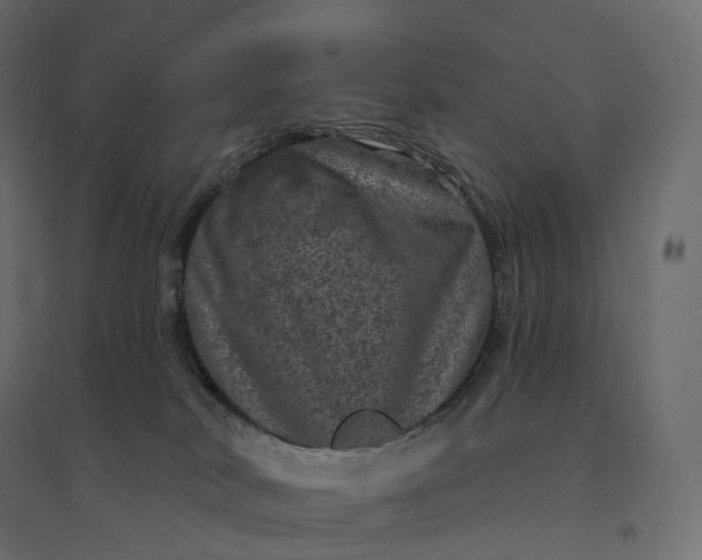 X0000094440038200711211506