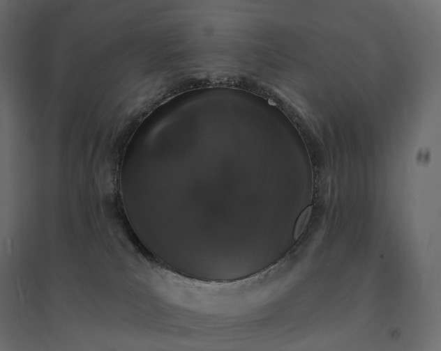 X0000094440039200711211506