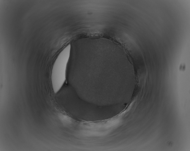 X0000094440041200711211506