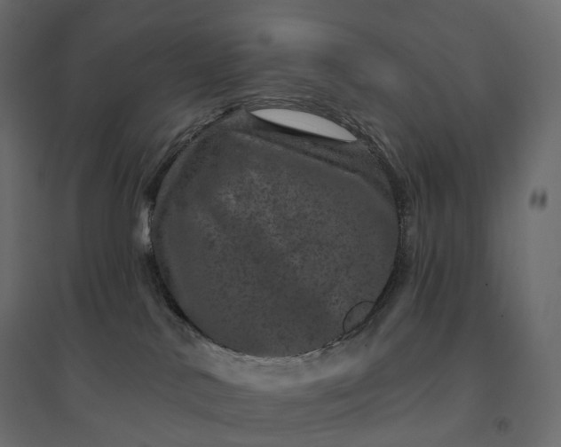 X0000094440042200711211506