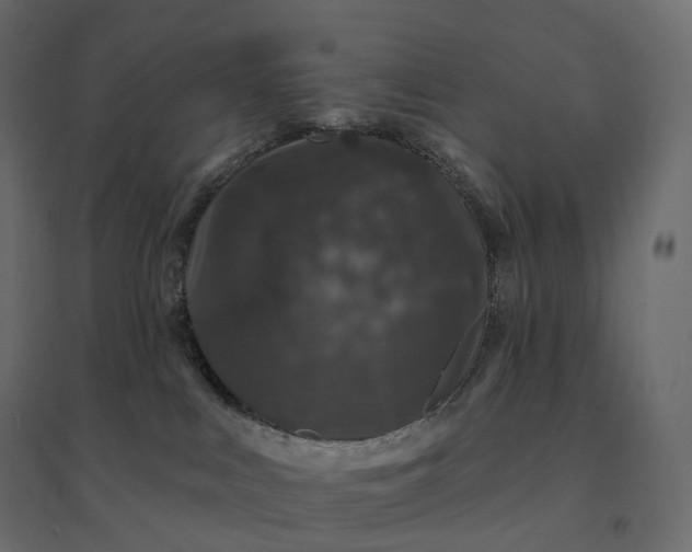 X0000094440043200711211506