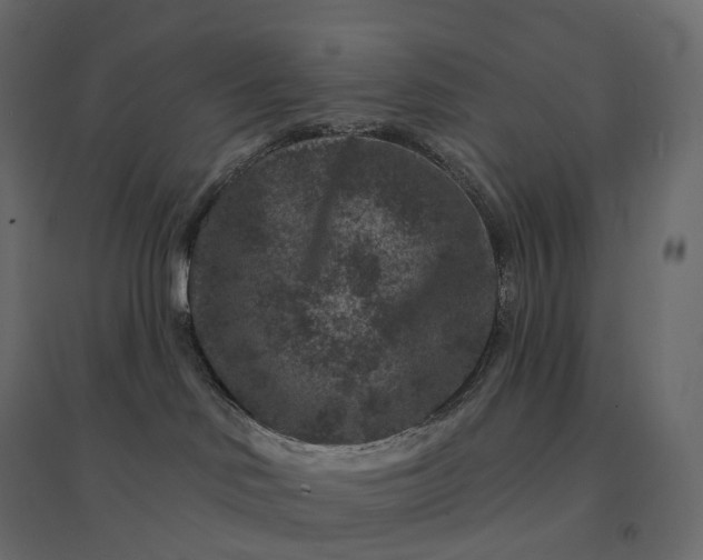 X0000094440046200711211505