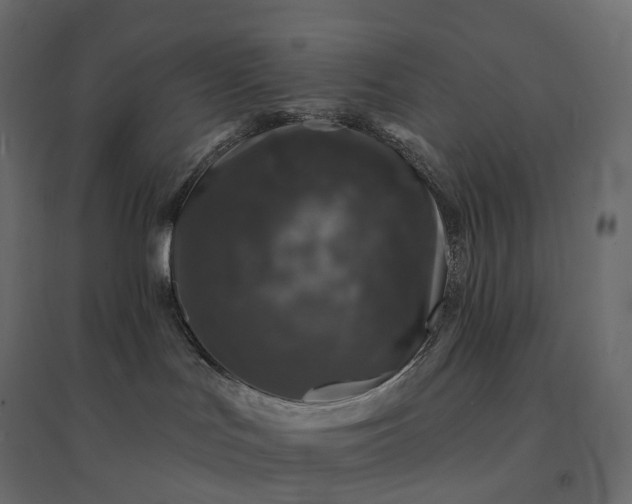 X0000094440047200711211505