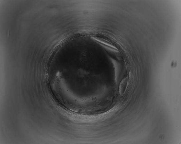 X0000094440048200711211505