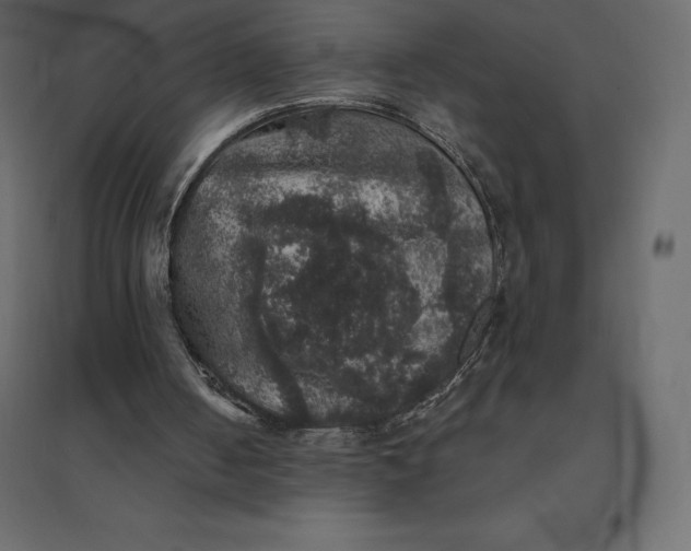 X0000094440050200711211505