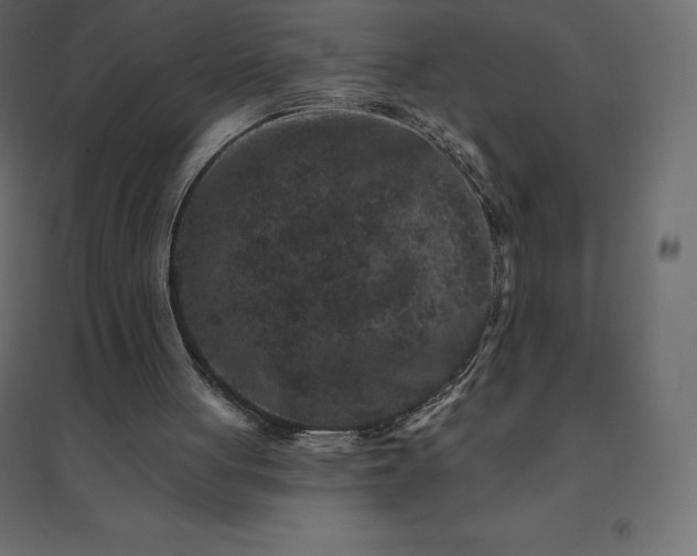 X0000094440051200711211505