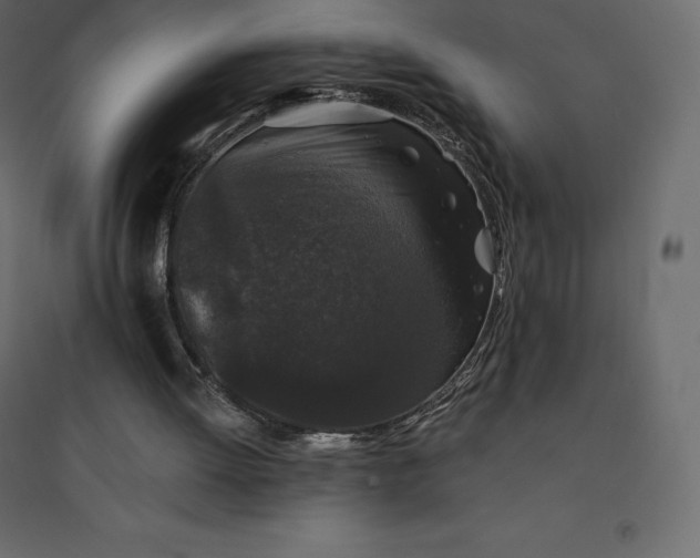 X0000094440052200711211505