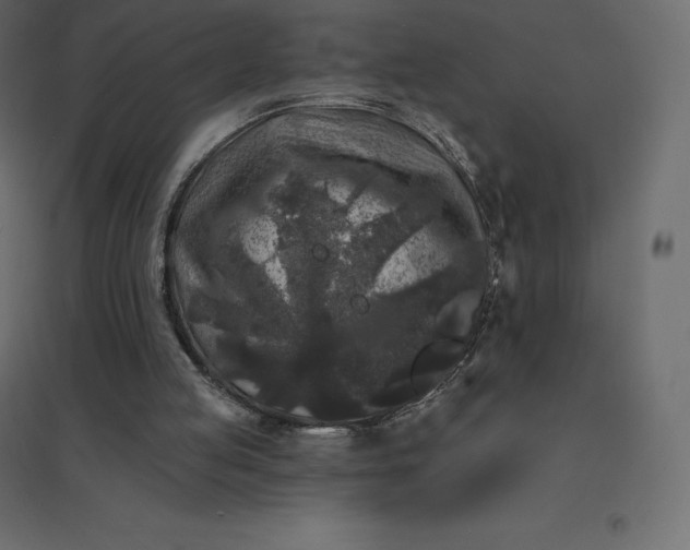 X0000094440053200711211505