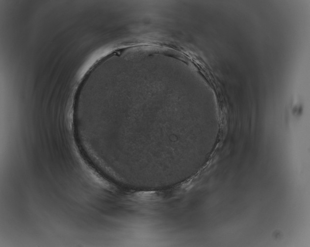 X0000094440054200711211505