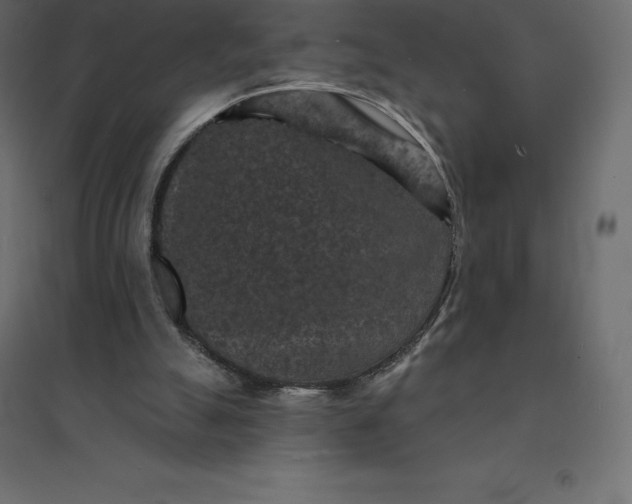 X0000094440055200711211505