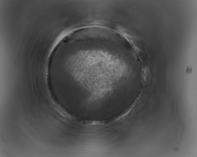 X0000094440056200711211505