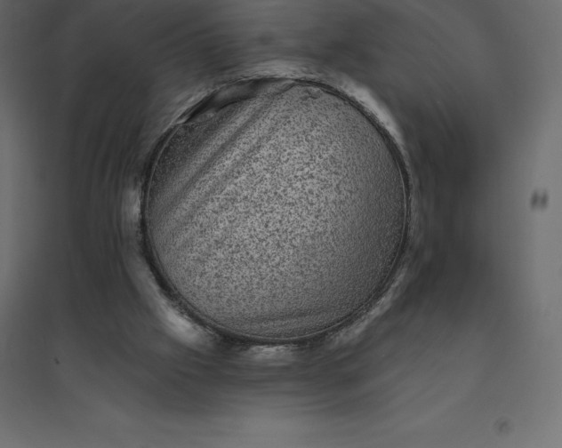 X0000094440057200711211505