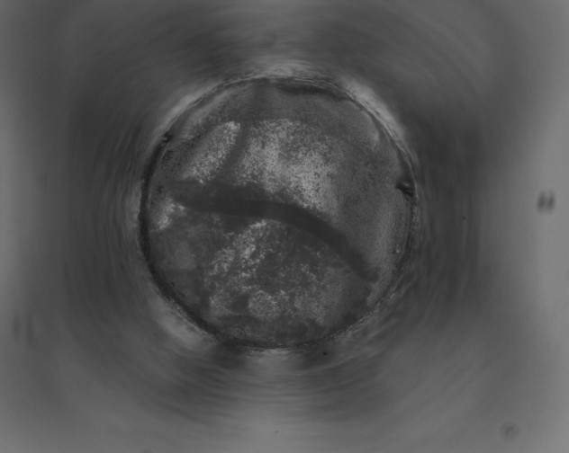 X0000094440058200711211505