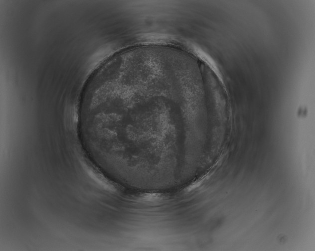 X0000094440059200711211505