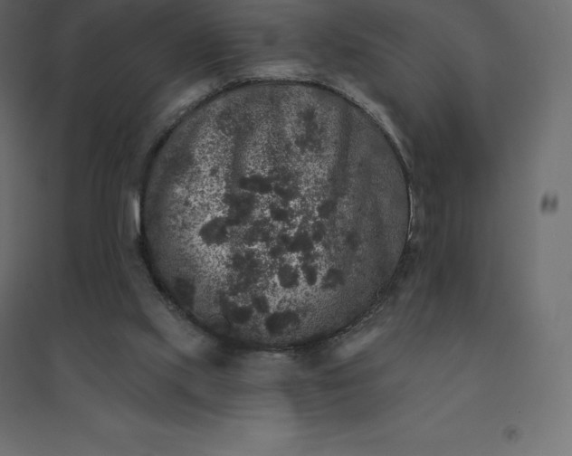 X0000094440061200711211505