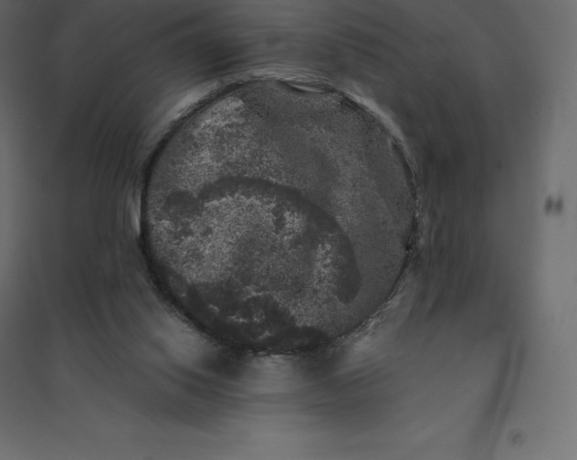 X0000094440062200711211505