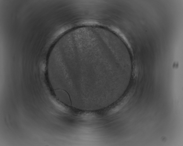 X0000094440063200711211505