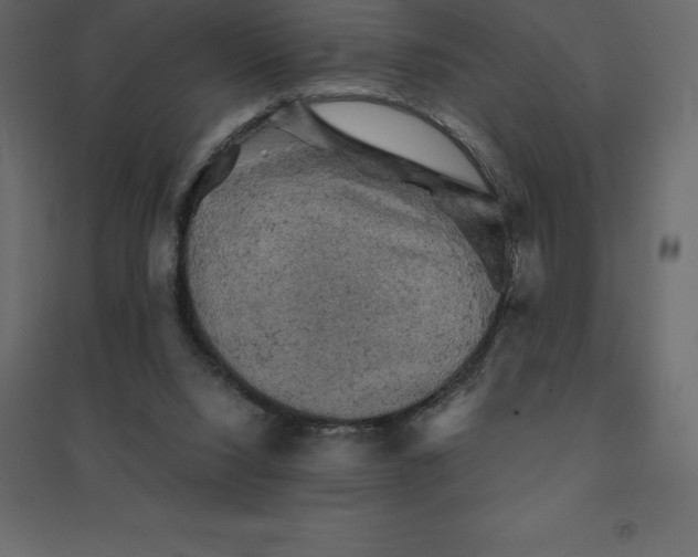 X0000094440064200711211505