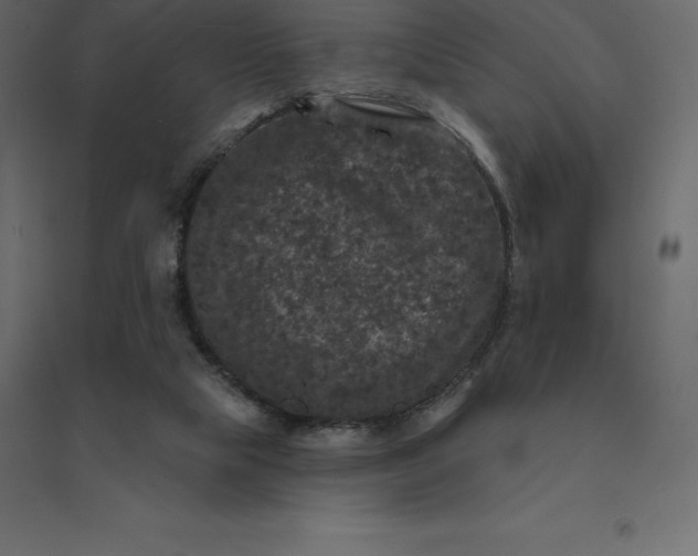 X0000094440065200711211505