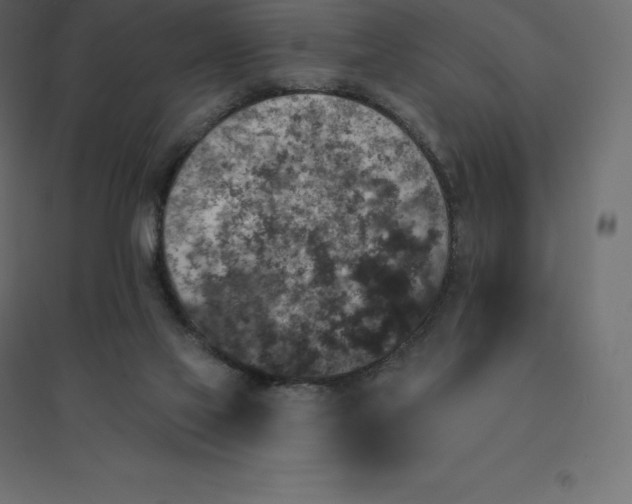 X0000094440069200711211505