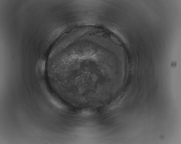 X0000094440070200711211505