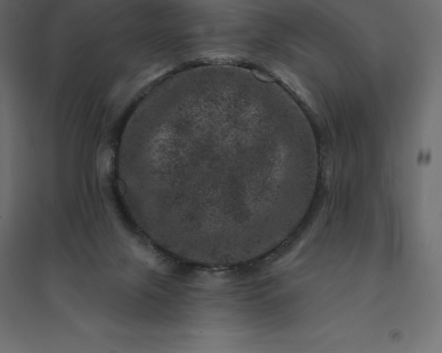 X0000094440071200711211505