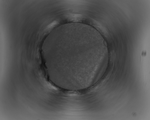 X0000094440073200711211505