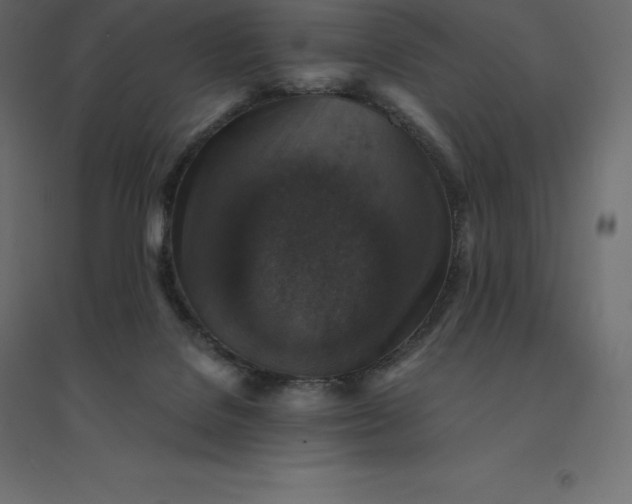 X0000094440076200711211505