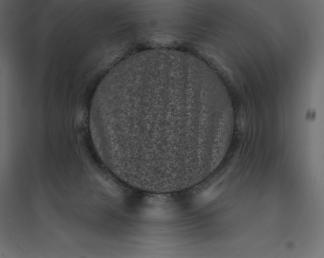 X0000094440079200711211505