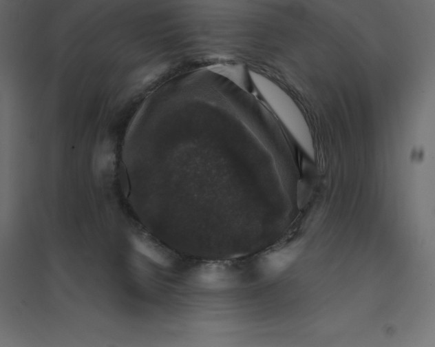 X0000094440080200711211505