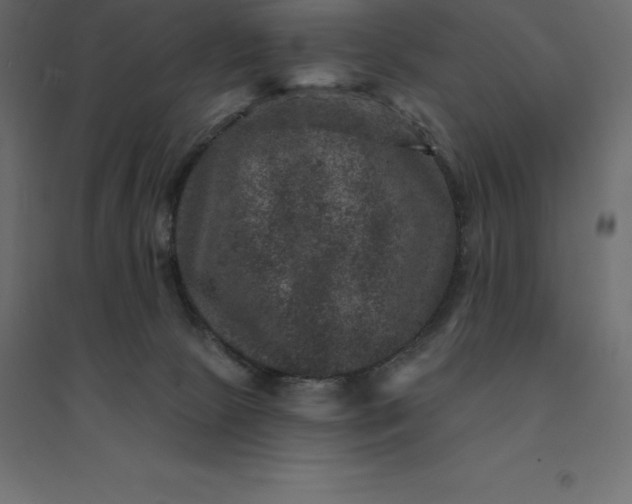 X0000094440081200711211505