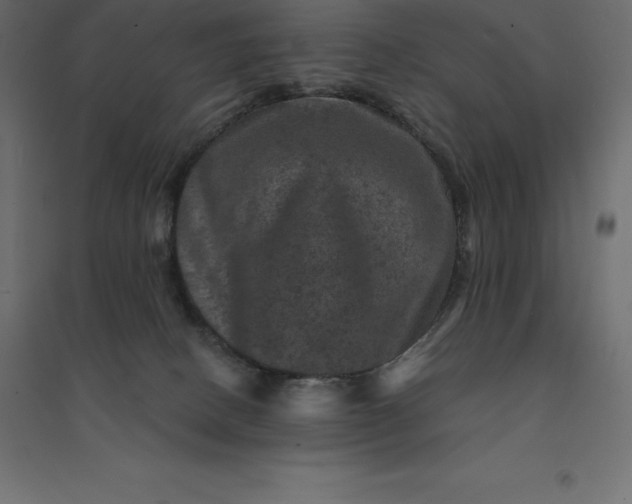 X0000094440082200711211505