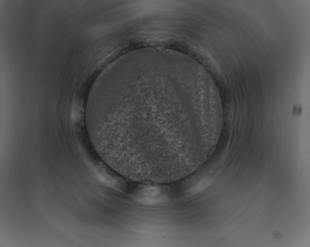 X0000094440083200711211505