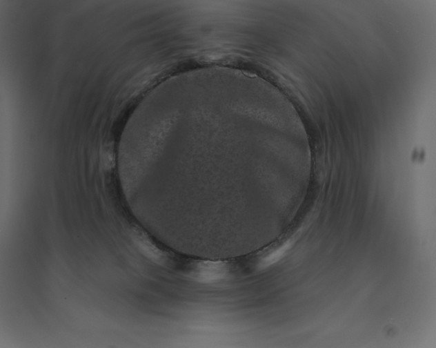 X0000094440085200711211505