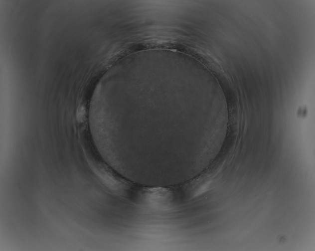 X0000094440087200711211505