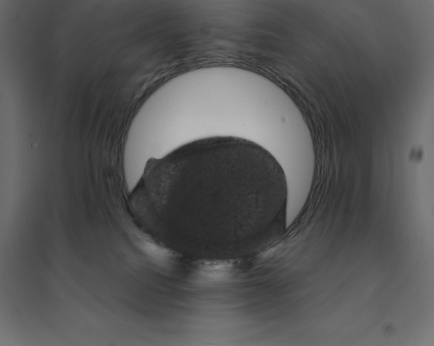 X0000094440088200711211505