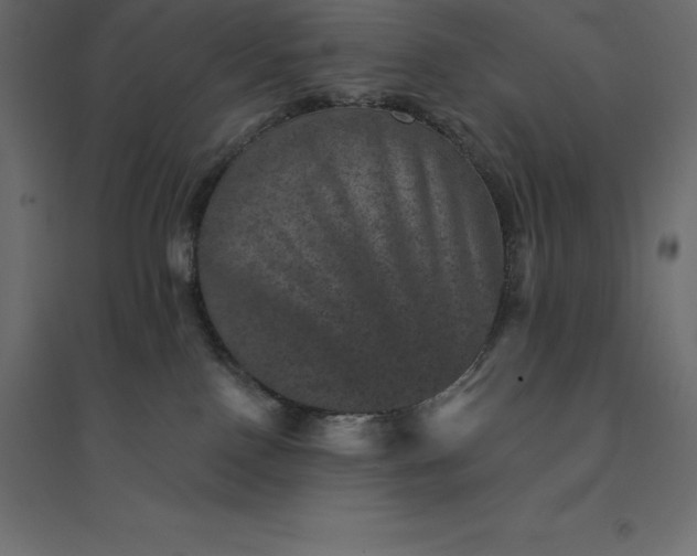 X0000094440090200711211505