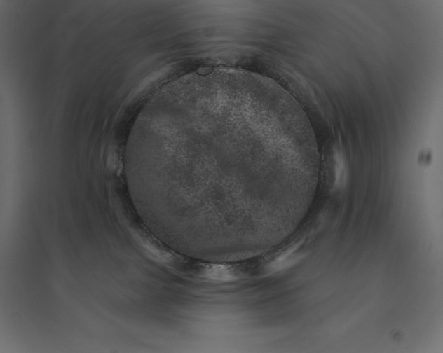 X0000094440091200711211505