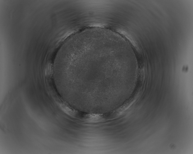 X0000094440093200711211505