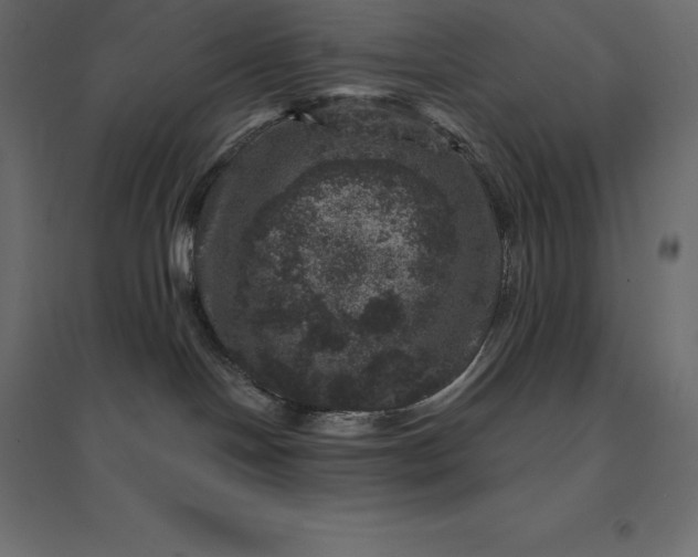 X0000094440094200711211505